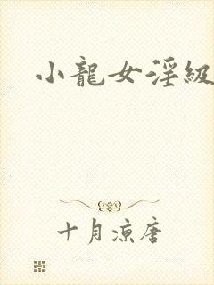 小龙女淫级史