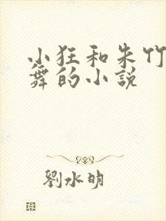 小狂和朱竹清小舞的小说