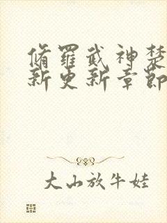 修罗武神楚枫最新更新章节