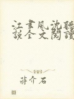 江聿风沈听晚小说全文阅读封面