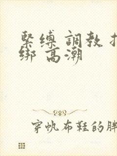 紧缚 调教 捆绑 高潮封面