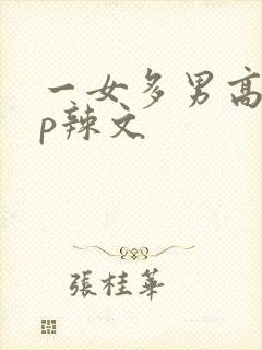一女多男高hnp辣文封面