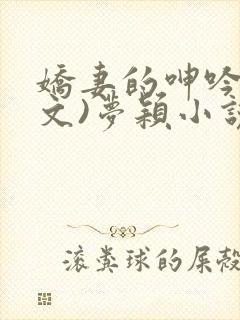 娇妻的呻吟(辣文)梦颖小说网