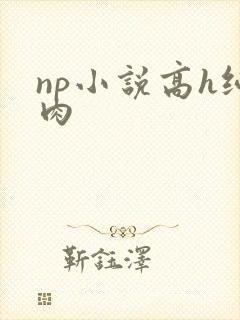 np小说高h纯肉