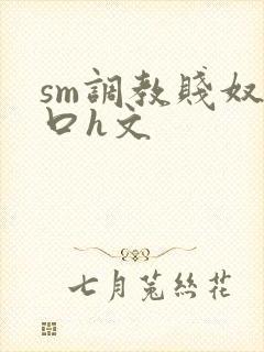 sm调教贱奴重口h文