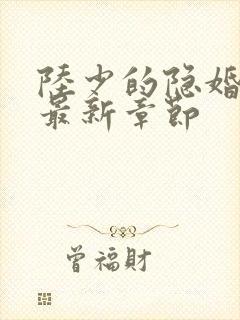 陆少的隐婚罪妻最新章节