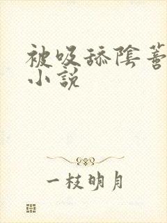 被吸舔阴蒂高潮小说