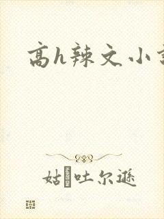 高h辣文小说网