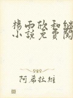 杨雨欣和继父的小说免费阅读封面