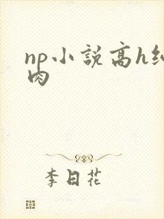 np小说高h纯肉