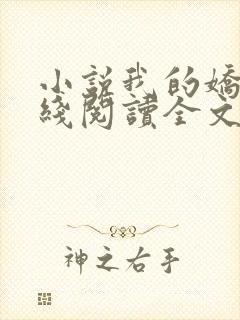 小说我的娇妻在线阅读全文