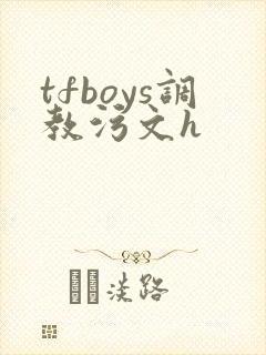 tfboys调教污文h