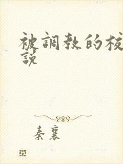 被调教的校花小说