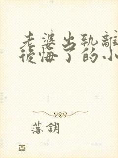 老婆出轨离婚后后悔了的小说