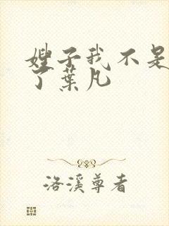 嫂子我不是傻子了叶凡