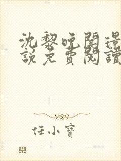 沈黎晚闻璟川小说免费阅读最新章节