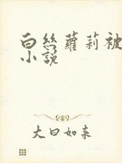 白丝萝莉被c的小说