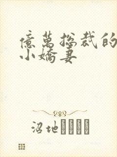 亿万总裁的独宠小娇妻