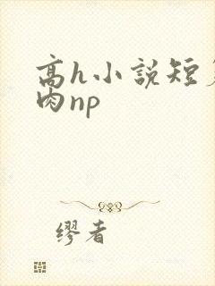 高h小说短篇纯肉np