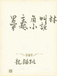 男主角叫林辰的穿越小说