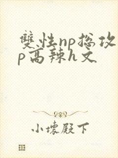 双性np总攻np高辣h文