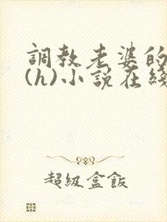 调教老婆的日常(h)小说在线观看封面