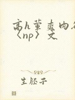高h荤爽肉欲文〈np〉文