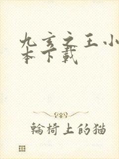 九玄之王小说全本下载封面