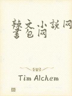 辣文小说网第二书包网