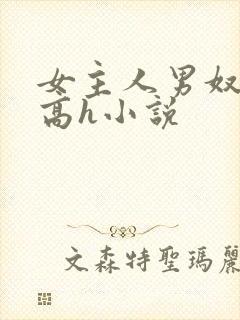 女主人男奴调教高h小说