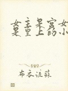 女主是宫女男主是皇上的小说