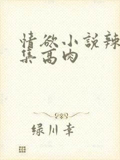 情欲小说辣文合集高肉