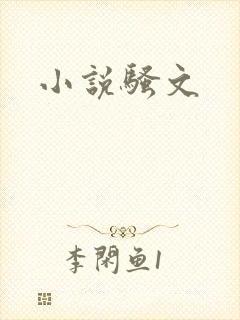 小说骚文