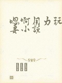 嗯啊用力玩弄人妻小说