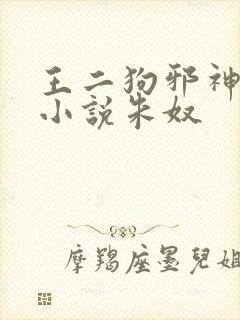 王二狗邪神传承小说朱奴封面