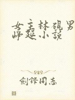 女主林砚男主宋峥延小说
