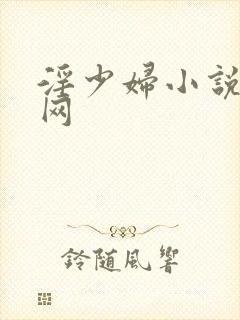 淫少妇小说阅读网