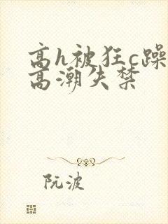 高h被狂c躁到高潮失禁