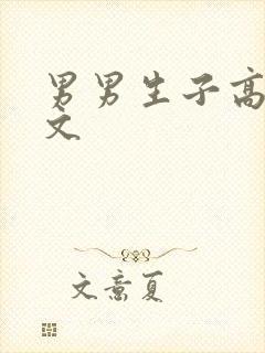 男男生子高辣h文