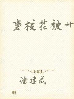 变校花被艹小说封面