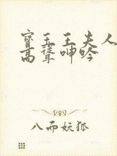 宝玉王夫人双乳高耸呻吟