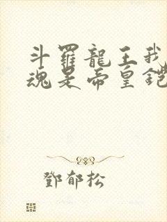 斗罗龙王我的武魂是帝皇铠甲