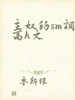主奴的sm调教高h文封面