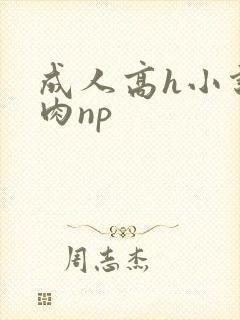 成人高h小说全肉np