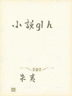 小说gl h封面