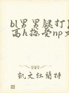 bl男男腿打开高h总受np文封面