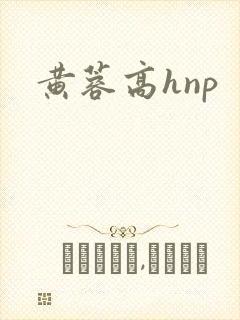 黄蓉高hnp封面