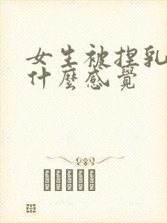 女生被捏乳头是什么感觉