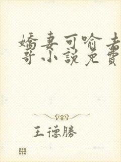 娇妻可喻去陪大哥小说免费阅读