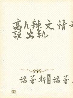 高h辣文情趣小说出轨